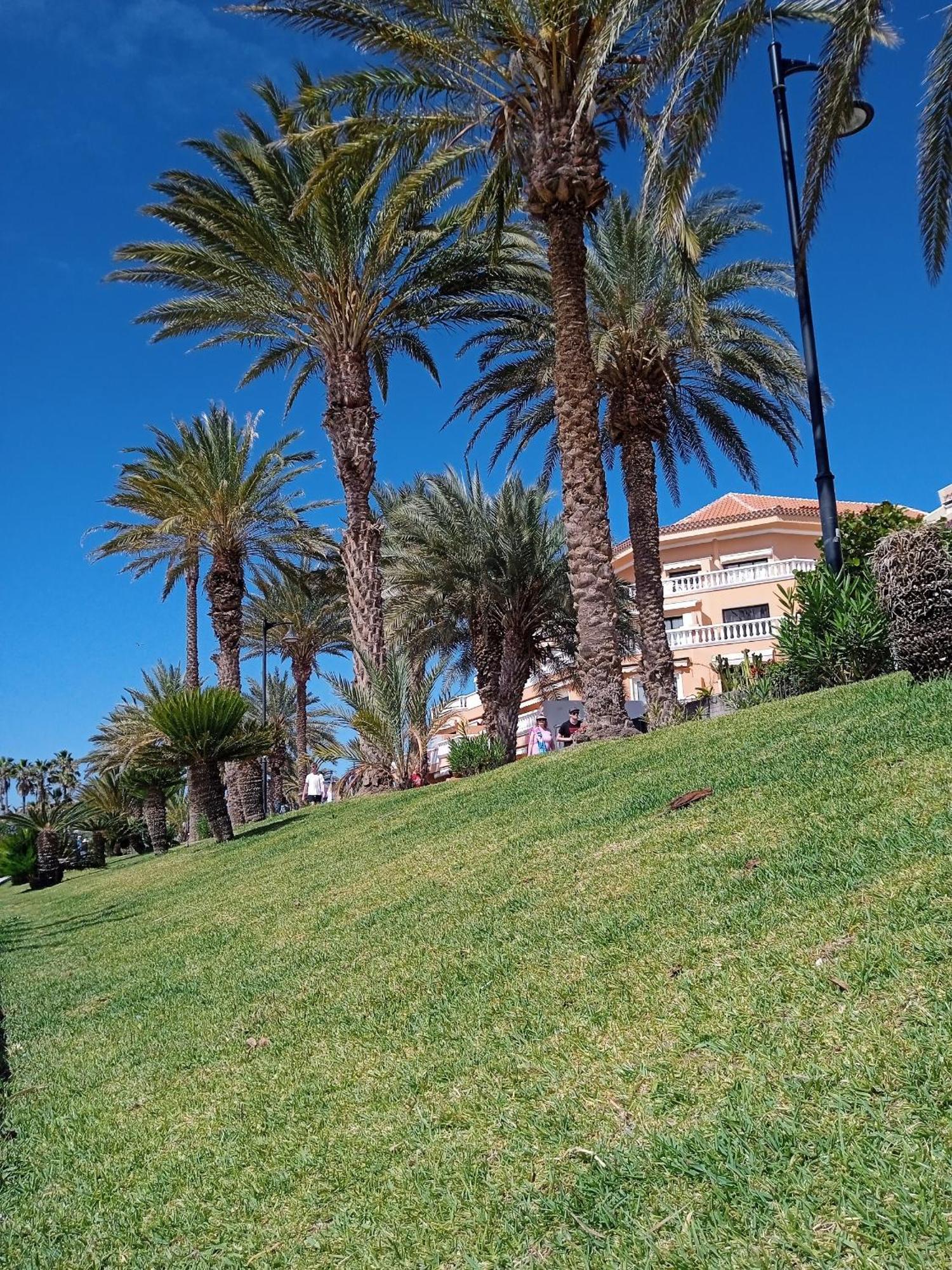 Apartamento Familiar Con Piscina Con Wi Fi En Los Cristianos Los Cristianos  Bagian luar foto